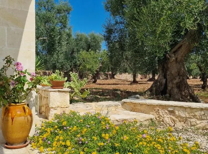 Bed & Breakfast I Trulli Di Spinaruta 4*