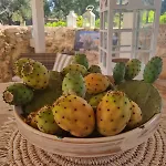 I Trulli Di Spinaruta Bed & Breakfast Grottaglie