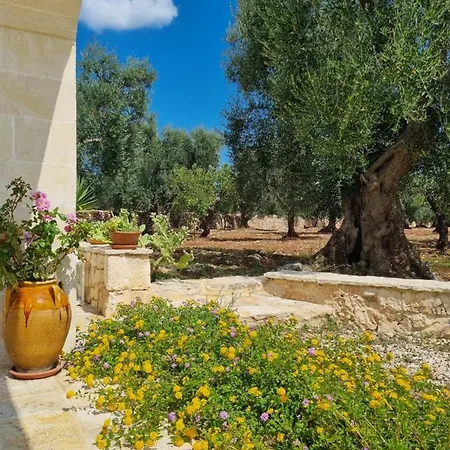Bed & Breakfast Trulli Di Spinaruta *