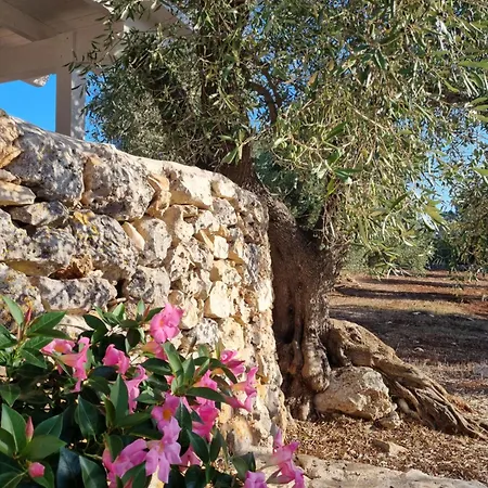 Trulli Di Spinaruta Grottaglie