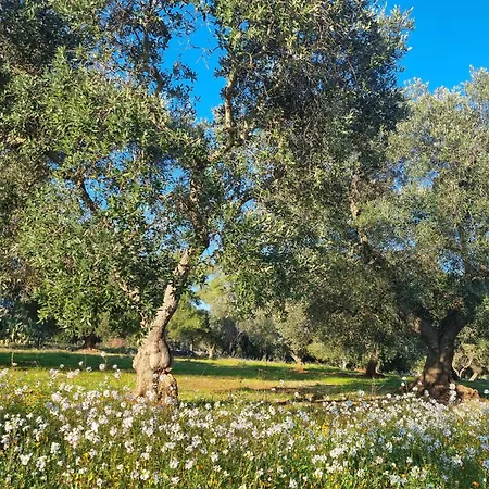 Trulli Di Spinaruta Bed & Breakfast Grottaglie